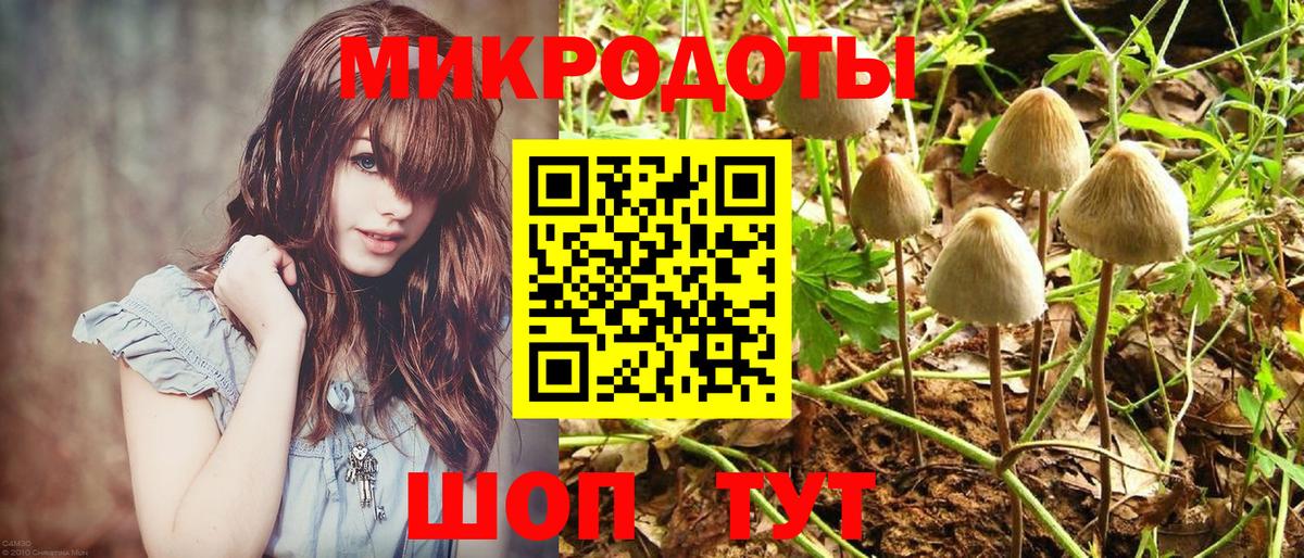 закладки  Вход с VPN  Волжск  Псилоцибиновые грибы Cubensis 